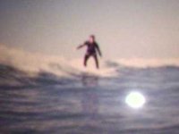 mariobvf avatar