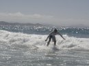 fightingsurfer avatar