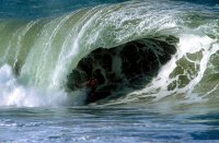 zacman avatar