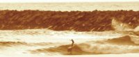 Ohana avatar