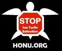 honu.org avatar