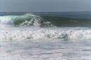 surfexplorer avatar