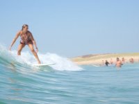 TripSurfeuse avatar