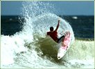 SuthrnsurferZ71 avatar