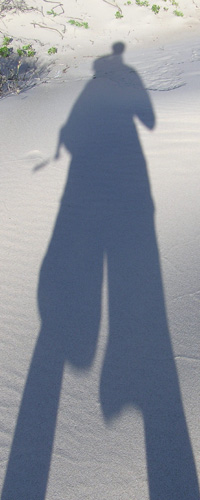 Islandwarrior avatar