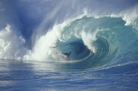 gareth_surfer avatar