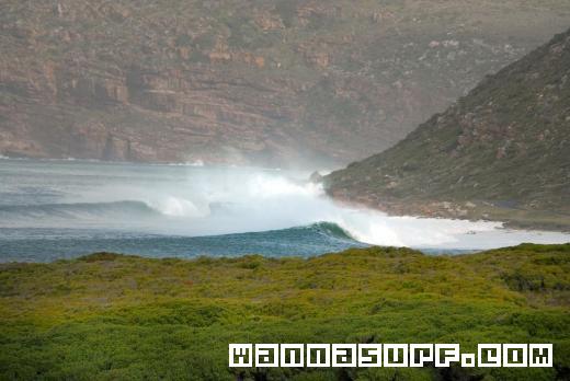 surf photo