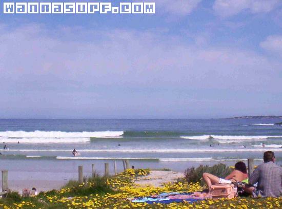 surf photo