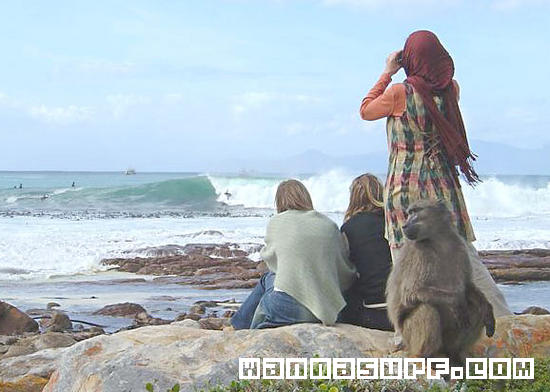 surf photo