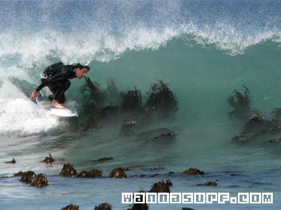 surf photo