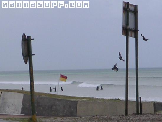 surf photo