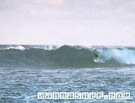 surf photo