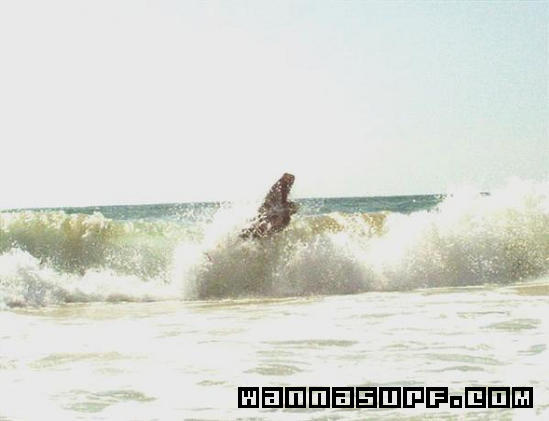 surf photo
