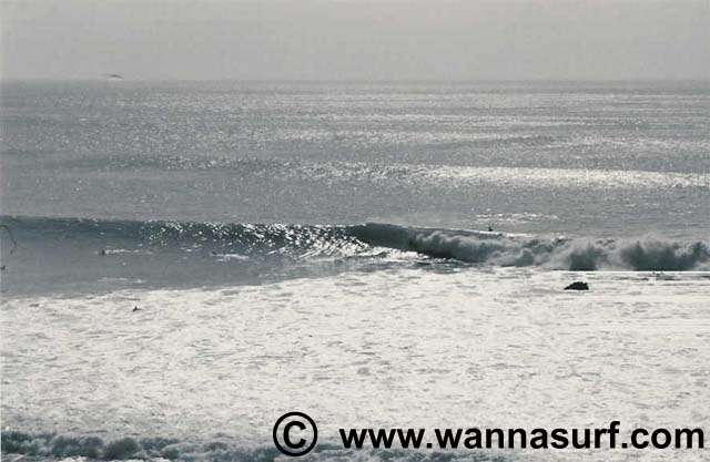 surf photo