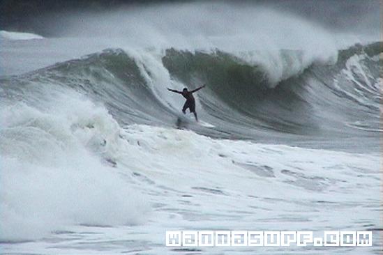 surf photo