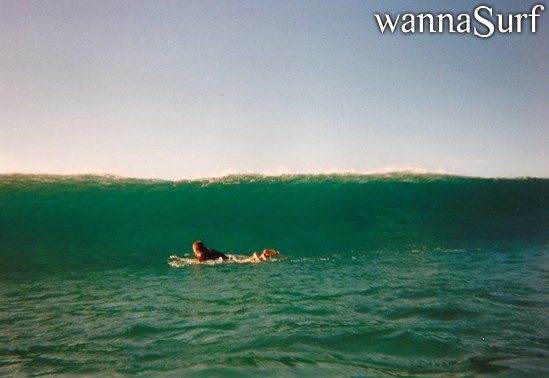 surf photo