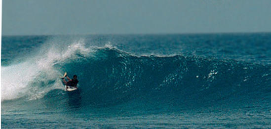 surf photo