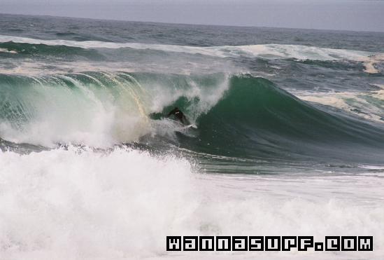 surf photo