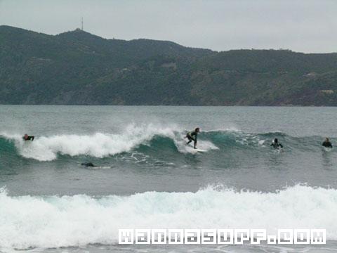 surf photo
