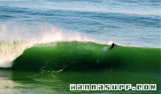 surf photo