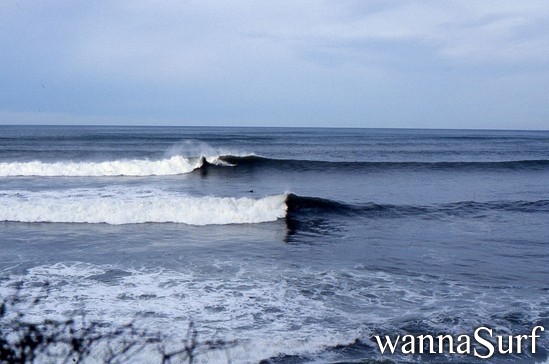 surf photo