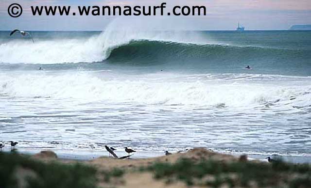 surf photo