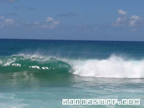 surf photo