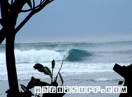 surf photo