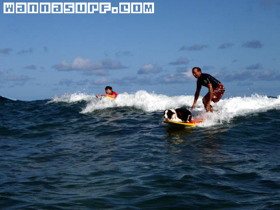 surf photo
