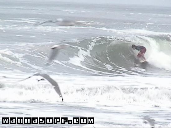 surf photo