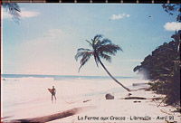 photo de surf