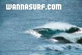 photo de surf