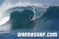 photo de surf