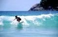 photo de surf