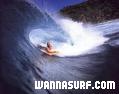 photo de surf