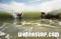 photo de surf