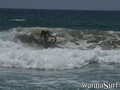 photo de surf