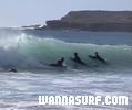 surf photo