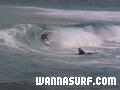 photo de surf