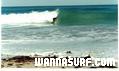 photo de surf