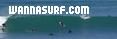 photo de surf