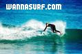 photo de surf