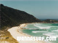 photo de surf