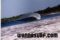 photo de surf