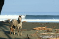 photo de surf