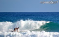 photo de surf