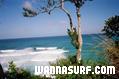photo de surf