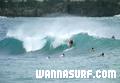 photo de surf