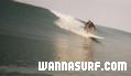 photo de surf