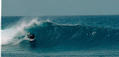 photo de surf
